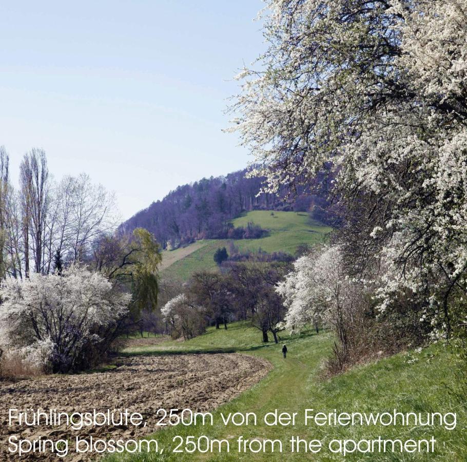 Passivhaus 750M Vom Bodensee -- 2X E-Bike Inklusive -- Neubau 2019 Am Ortsrand Ohningen Bagian luar foto